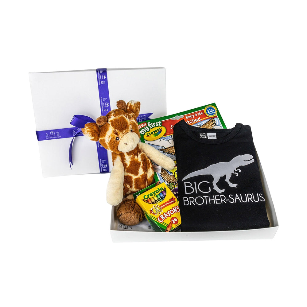 
                  
                    Big Sister/Brother Hamper
                  
                