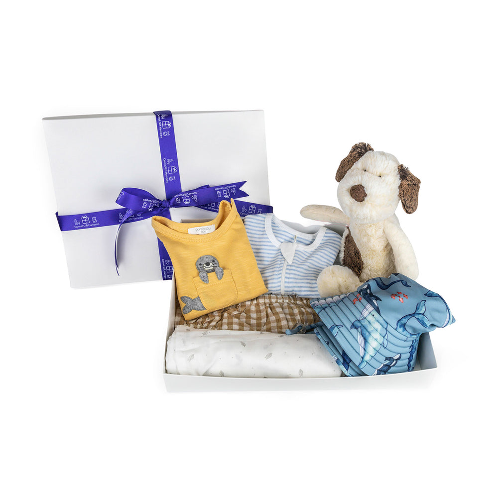 
                  
                    Baby Summer Adventures Deluxe Hamper
                  
                