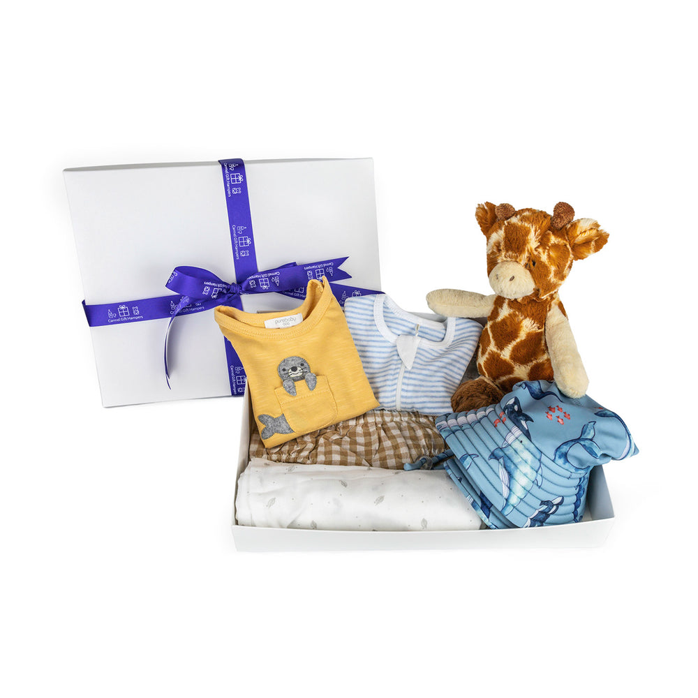 
                  
                    Baby Summer Adventures Deluxe Hamper
                  
                