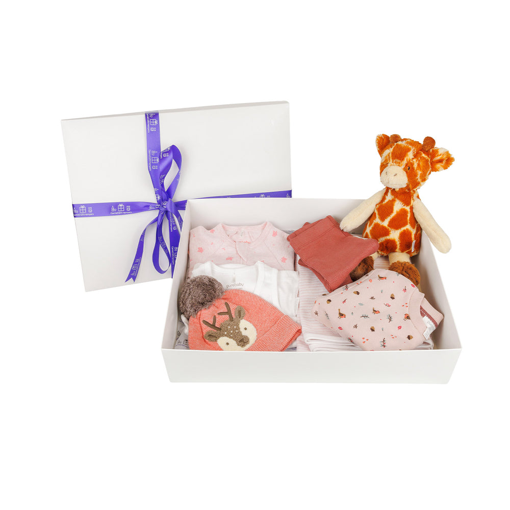 
                  
                    Baby Winter Adventures Deluxe Hamper
                  
                